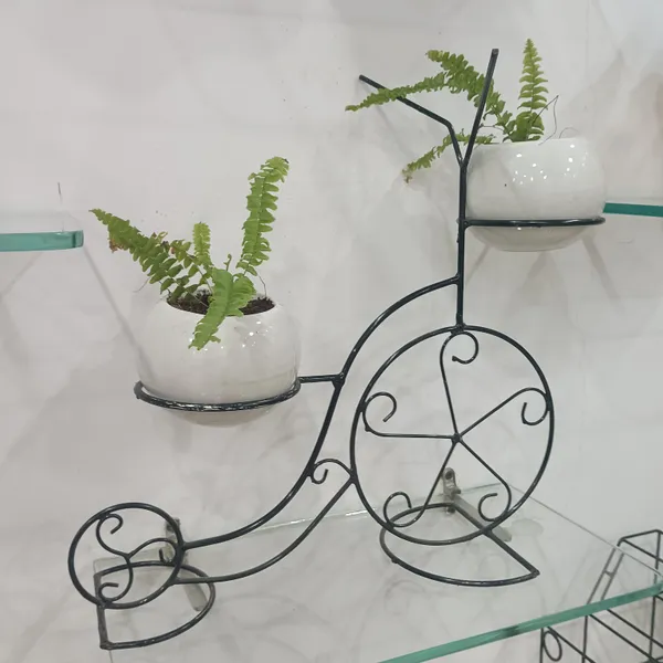 Fern_Planters_On_Cycle_Frame
