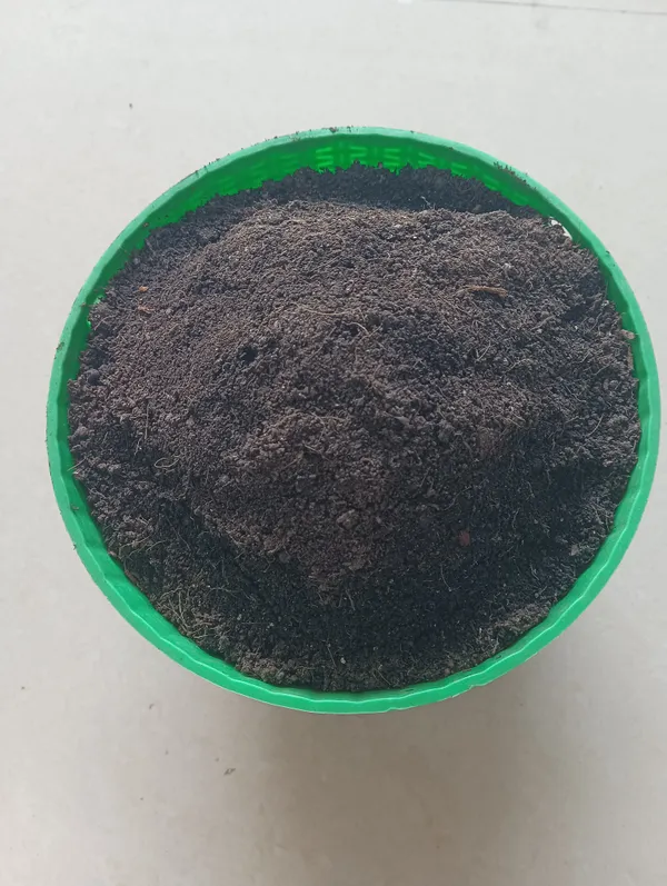 Vermicompost_Black_Brown_Organic_Matter