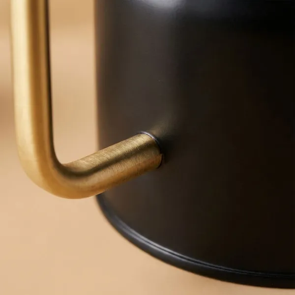 Metal_Water_Cane__Black