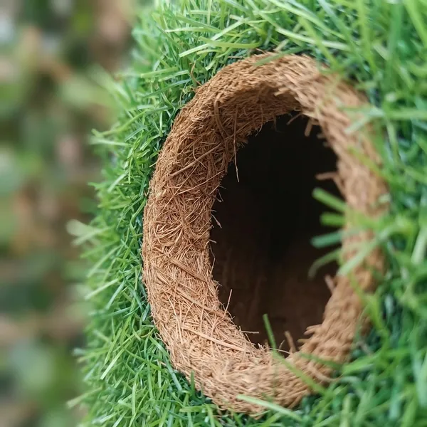 Cocofiber_Bird_House_Dholak_Decoratives