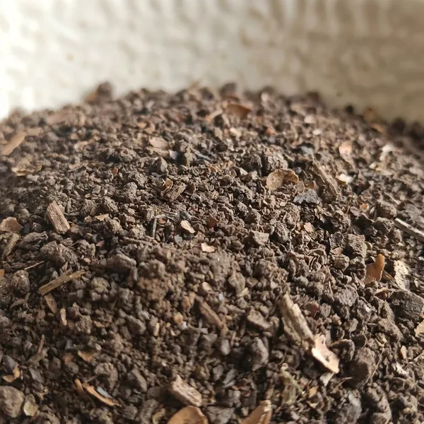 Neem_Cake_Powder_Black_Brown_Organic_Matter