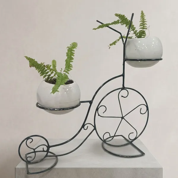 Fern_Planters_On_Cycle_Frame