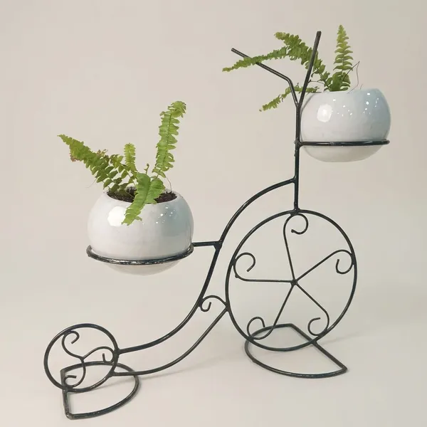 Fern_Planters_On_Cycle_Frame