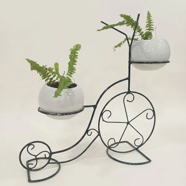 Fern_Planters_On_Cycle_Frame