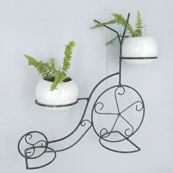 Fern_Planters_On_Cycle_Frame