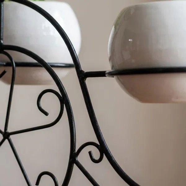 Fern_Planters_On_Cycle_Frame