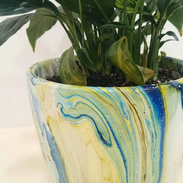 Peace_Lily_In_ceramic_designer_Pot
