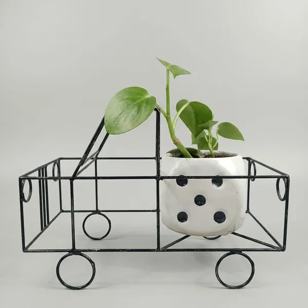 Green_Pothos_In_Ludoo_Planter_And_Truck__metal_Frame