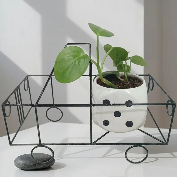 Green_Pothos_In_Ludoo_Planter_And_Truck__metal_Frame