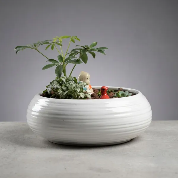 Miniature_Garden_Ceramic_And_Live_Plants_Bonsai_Planter