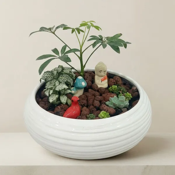 Miniature_Garden_Ceramic_And_Live_Plants_Bonsai_Planter