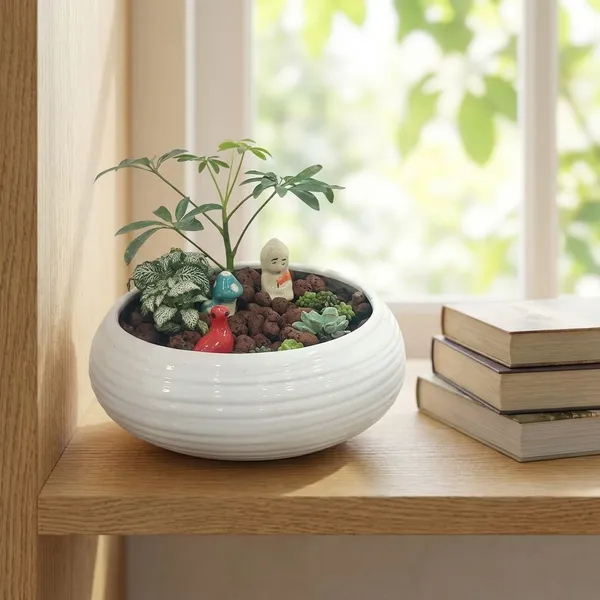 Miniature_Garden_Ceramic_And_Live_Plants_Bonsai_Planter