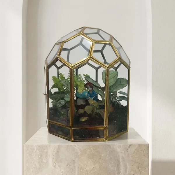 Golden_metal_Ignou_Terrarium_With_live_Plants