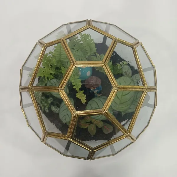 Golden_metal_Ignou_Terrarium_With_live_Plants
