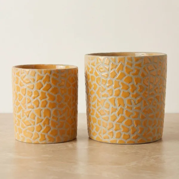 Elegent_Flora_2_Pc_Designer_Ceramic_Planter