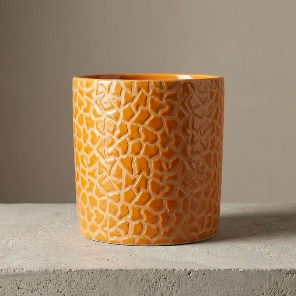 Elegent_Flora_2_Pc_Designer_Ceramic_Planter