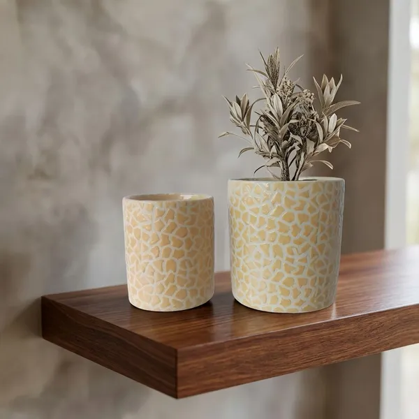 Elegent_Flora_2_Pc_Designer_Ceramic_Planter