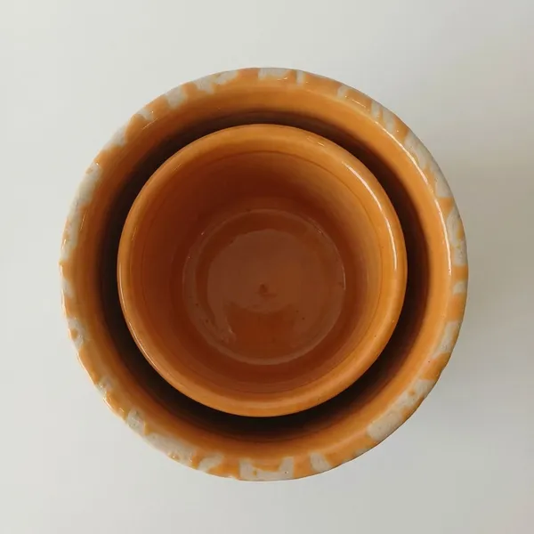 Elegent_Flora_2_Pc_Designer_Ceramic_Planter