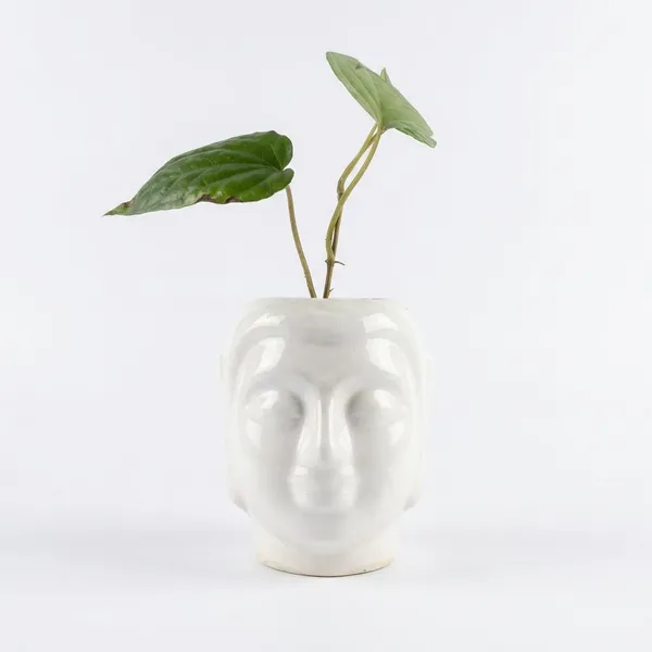 Buddha_Head_Ceramic_Planter