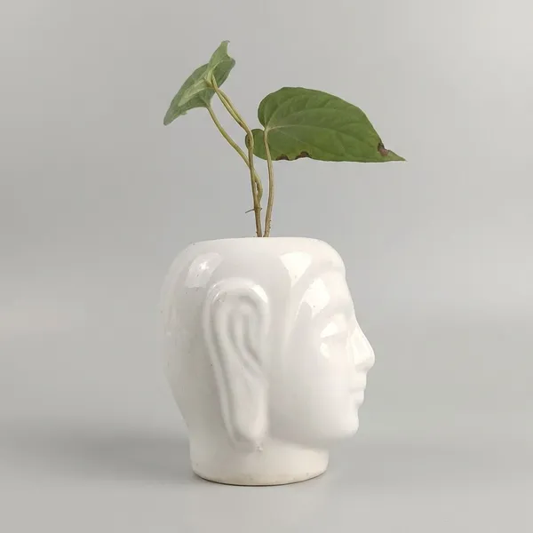 Buddha_Head_Ceramic_Planter