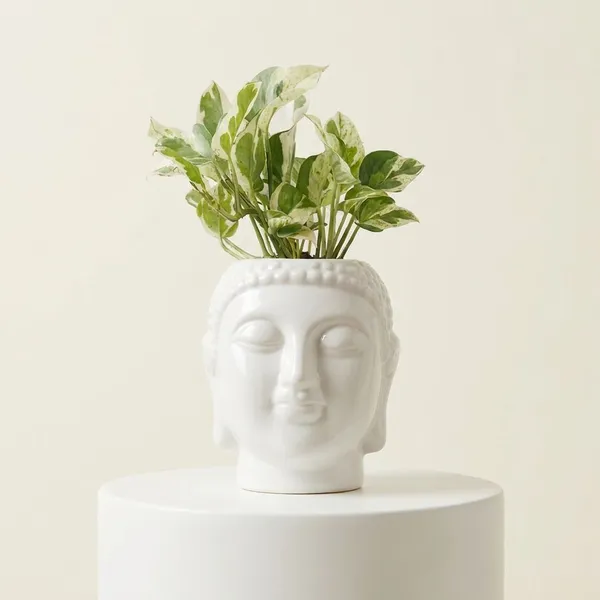 Buddha_Head_Ceramic_Planter_Set_Of_2
