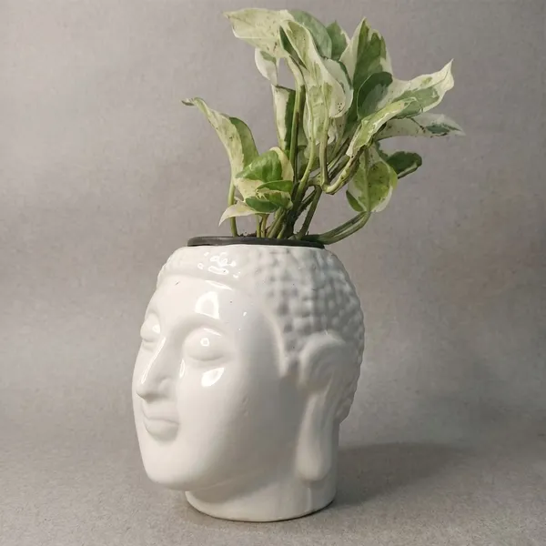 Buddha_Head_Ceramic_Planter_Set_Of_2