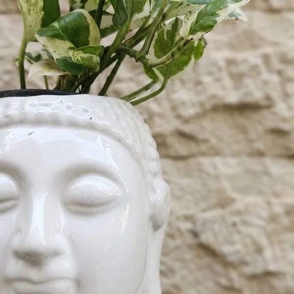 Buddha_Head_Ceramic_Planter_Set_Of_2