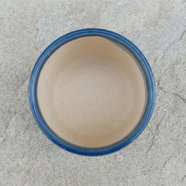 Ceramic__Blosson_Blue_ceramic_Planter