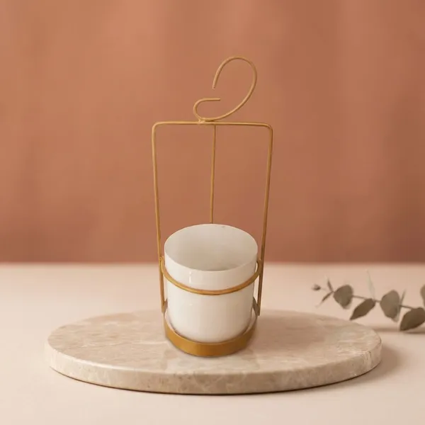 Metal_Cage_Planter_White
