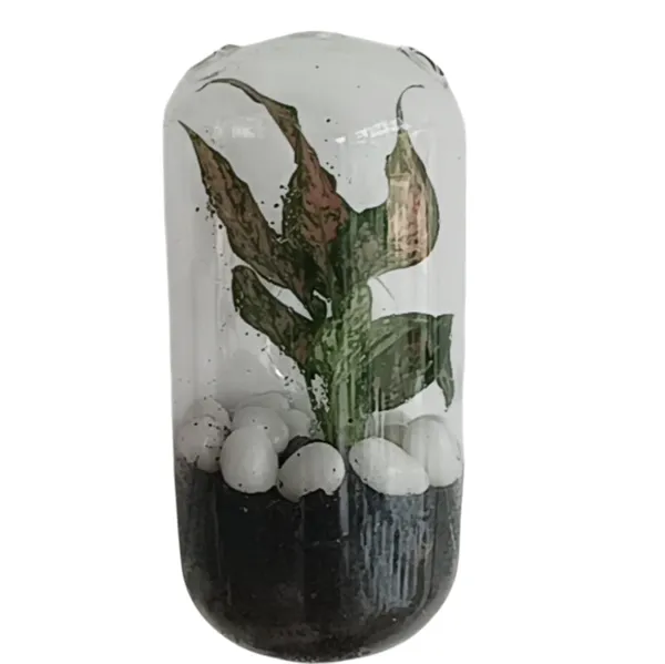 Transparent_Glass_Capsule__For_Home_Decoration
