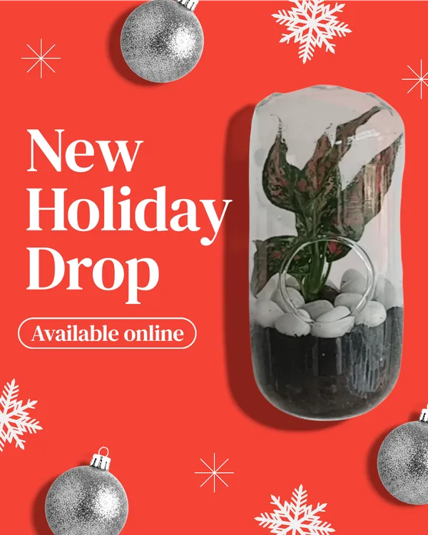 Transparent_Glass_Capsule__For_Home_Decoration