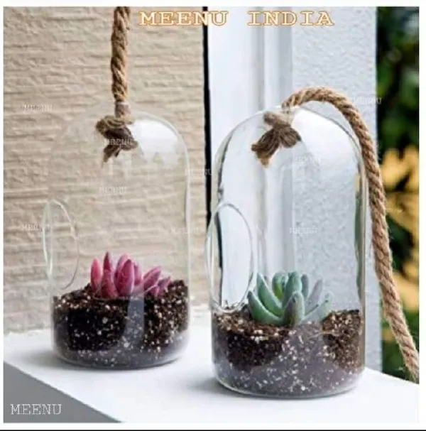 Transparent_Glass_Capsule__For_Home_Decoration