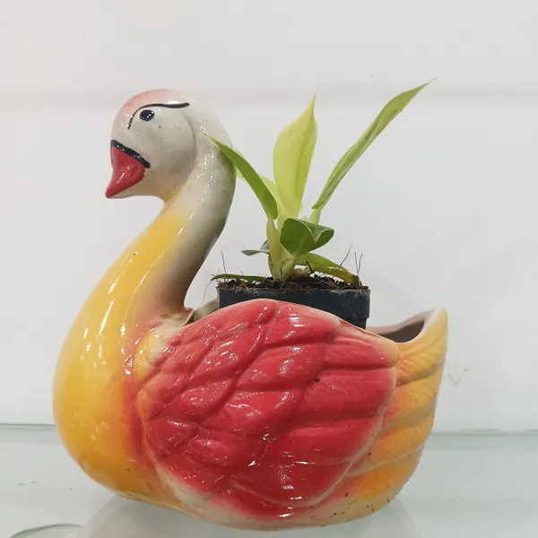 Multi_color_glazed_duck_planter