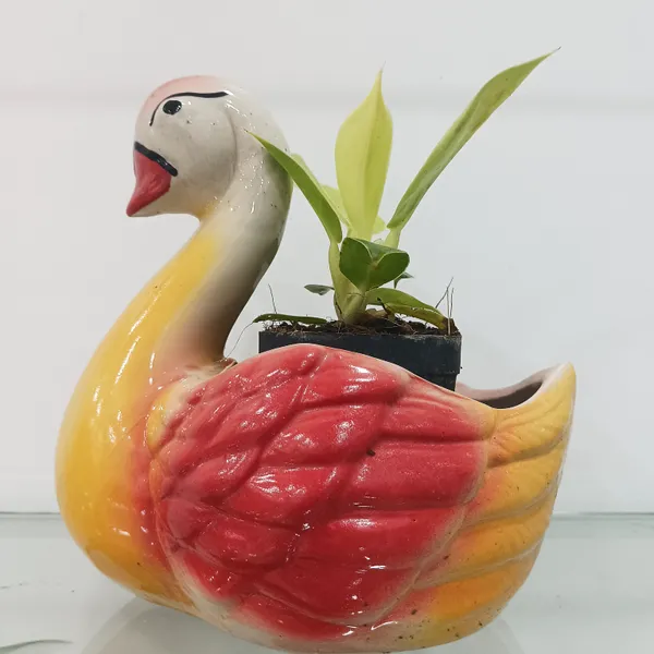 Multi_color_glazed_duck_planter