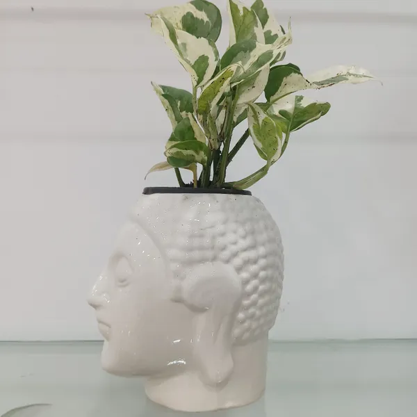 Buddha_Head_Ceramic_Planter_Set_Of_2