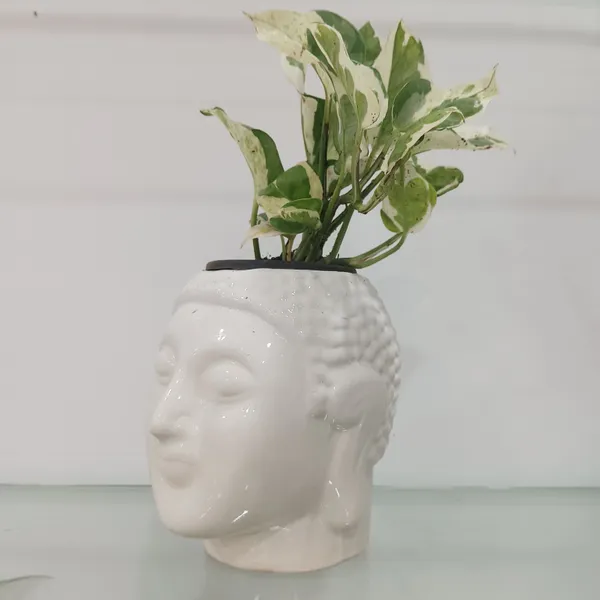 Buddha_Head_Ceramic_Planter_Set_Of_2