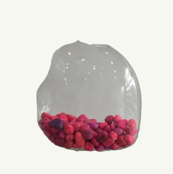 Fish_Mouth_glass_aquarium