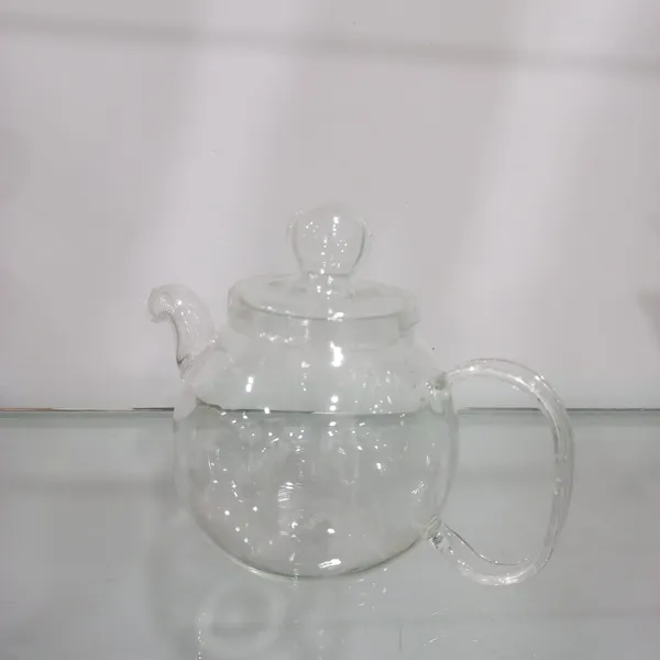 Transparent_Glass_Teapot_Aquarium_For_Home_Decoration