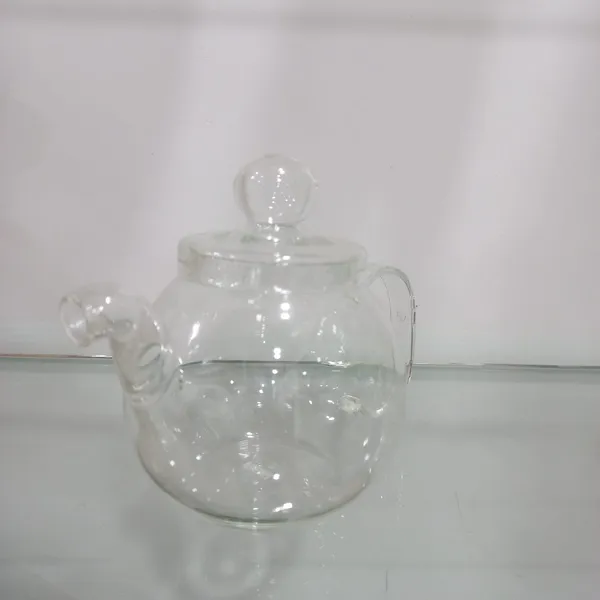 Transparent_Glass_Teapot_Aquarium_For_Home_Decoration