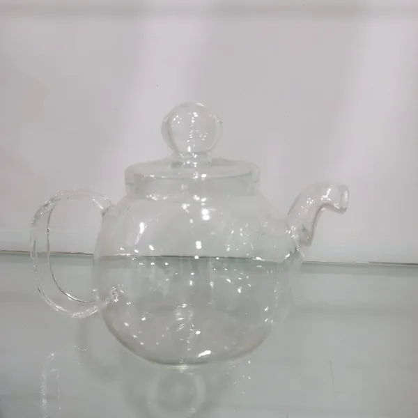 Transparent_Glass_Teapot_Aquarium_For_Home_Decoration