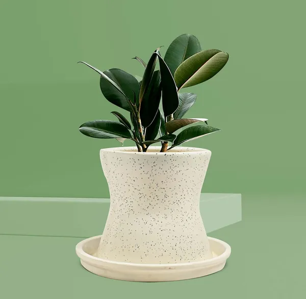 Bloom_Nest__ceremic_planter
