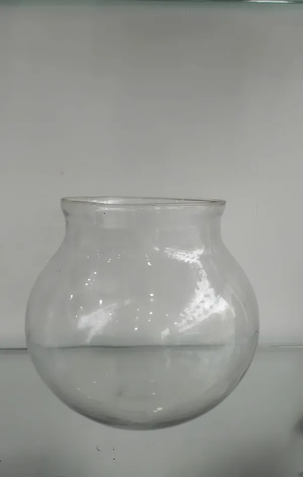 Transparent_Glass_Krishna_Matki_Aquarium_For_Home_Decoration
