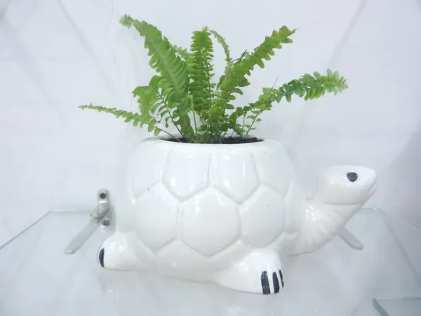 Kurma_Shanta_tortoise_ceremic_planter_Green