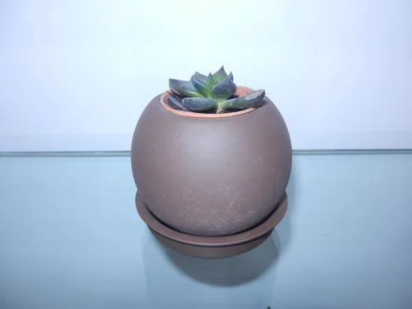 Petalia_ball_type_ceramic_planter