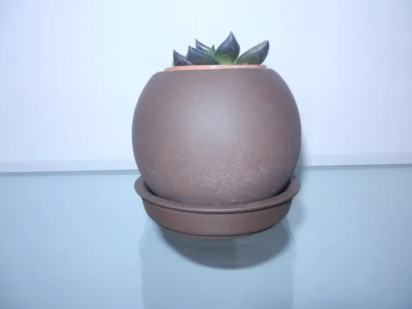 Petalia_ball_type_ceramic_planter
