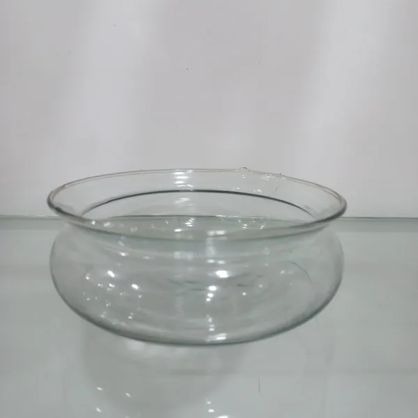 Lucky_bamboo_glass_multipurpose_tray
