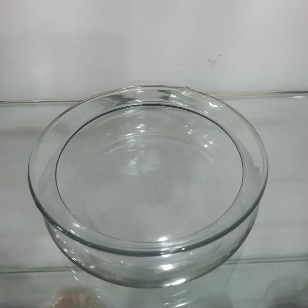 Lucky_bamboo_glass_multipurpose_tray