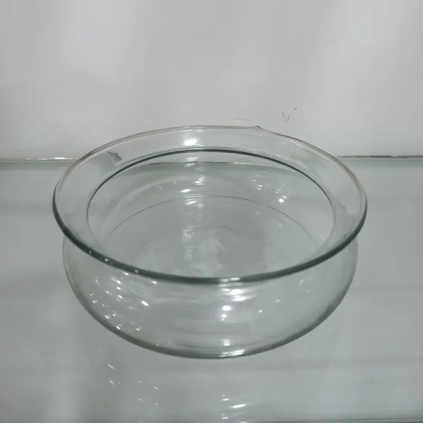 Lucky_bamboo_glass_multipurpose_tray