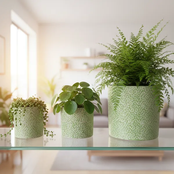 Fabolus_Flora_3_pc_Ceramic_3_Pc_Designer_Planter