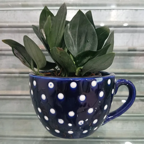 Cup_Planter_Blue_Ceramic